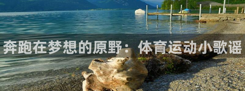 必一运动官网入口：奔跑在梦想的原野：体育运动小歌谣