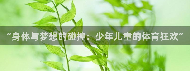 必一运动官网