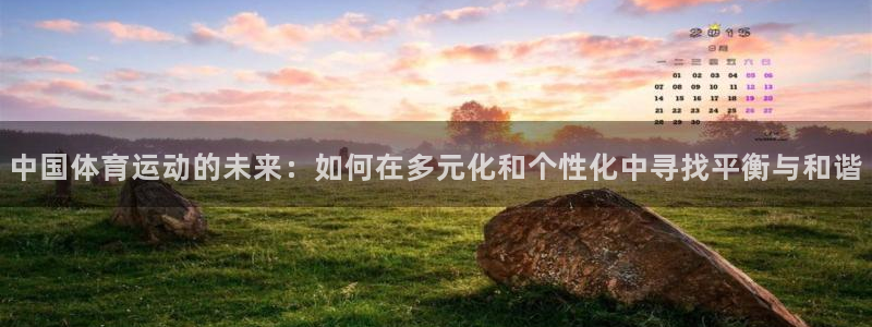 必一运动体育：中国体育运动的未来：如何在多元化和个性化中寻找平衡与和谐