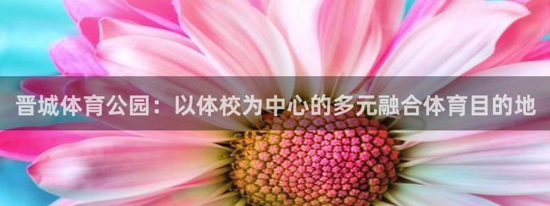必一运动：晋城体育公园：以体校为中心的多元融合体育目的地