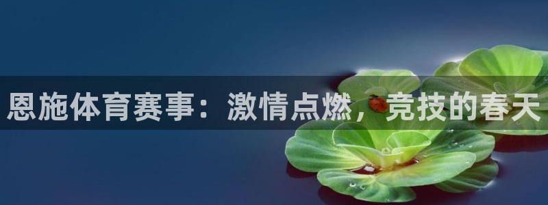 必一运动体育官网：恩施体育赛事：激情点燃，竞技的春天
