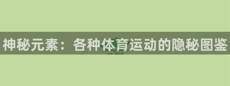 必一运动官网：神秘元素：各种体育运动的隐秘图鉴