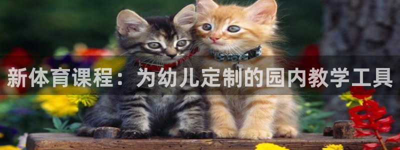 bsport必一运动：新体育课程：为幼儿定制的园内教学工具