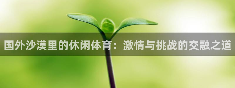 必一运动：国外沙漠里的休闲体育：激情与挑战的交融之道