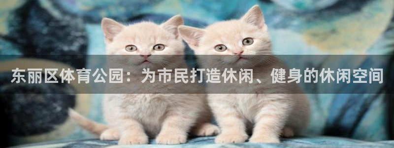 必一运动bsport体育：东丽区体育公园：为市民打造休闲、健身的休闲空间