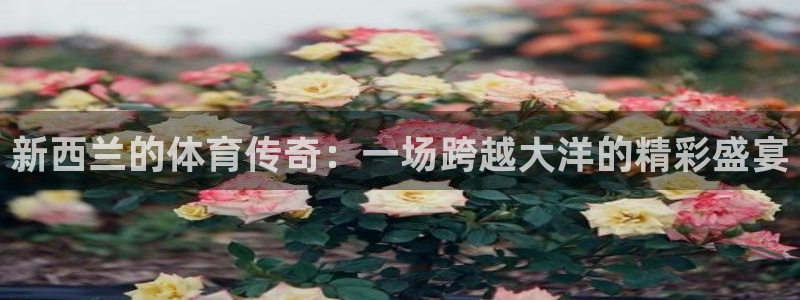 必一运动官网入口：新西兰的体育传奇：一场跨越大洋的精彩盛宴